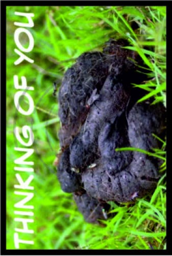 Σκεπτόμενος εσένα image